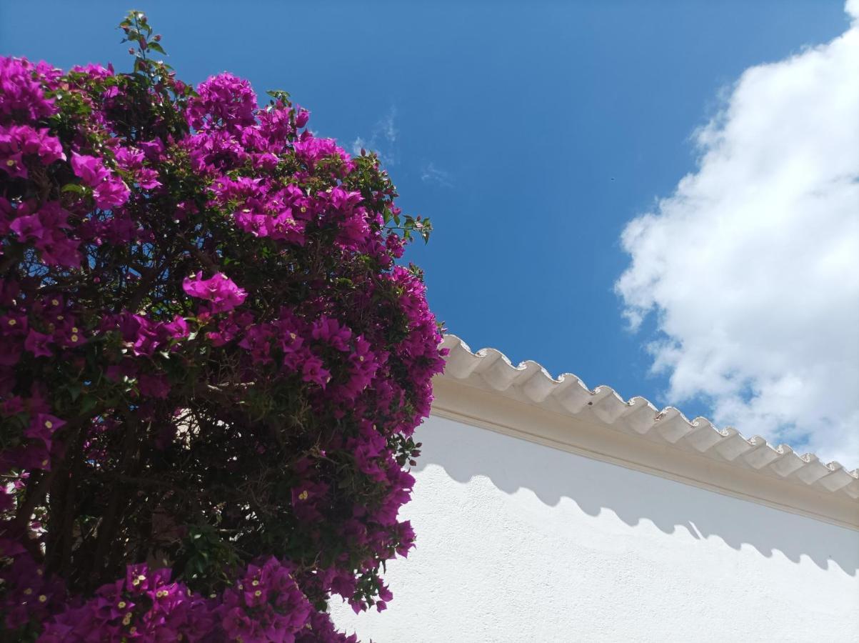 Can Pep Pardal Sant Miquel De Balansat Exterior photo